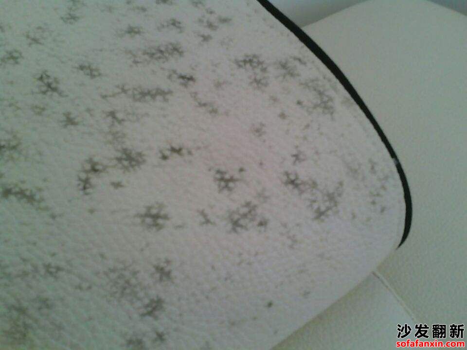 沙發發霉處理